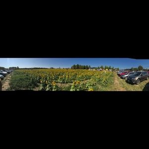 Meet your Posher, Kent